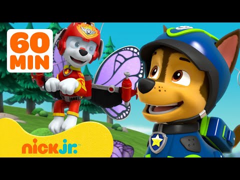 PAW Patrol Forest Rescues & Adventures! w/ Chase and Marshall ???? 1 Hour Compilation | Nick Jr.
