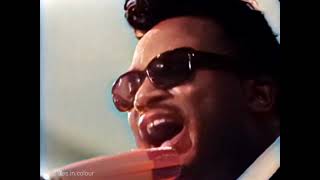 Otis Rush - I Can't Quit You live [Colourised] 1966