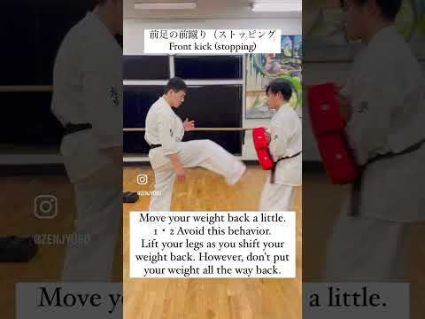 前足の前蹴りの蹴り方（ストッピング）Front kick (stopping)