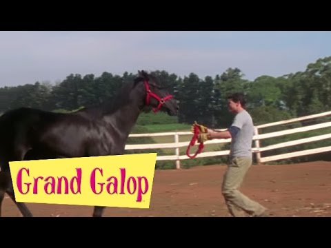 Grand Galop 119 - La Légende de Belle (Partie 2) | HD | Épisode Complet