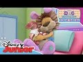 Doc McStuffins - Stanley the Lion | Official Disney Junior Africa
