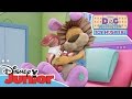 Doc McStuffins Stanley The Lion Official Disney Junior Africa