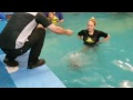 Dad Drops 8 Month Old Baby Caysen In Pool Little Fins Swim School