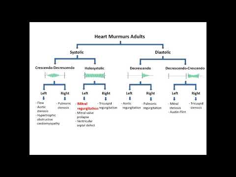 Heart Murmurs: Mitral Regurgitation