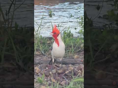 Lago Salto Grande, Concordia, Entre Ríos.