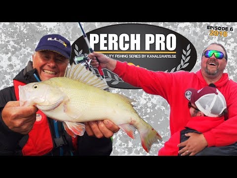 Perch Pro 2018 - EPISODE 6 - with French, German & Russian subtitles