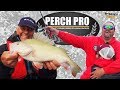 Perch Pro 2018 - EPISODE 6 - with French, German & Russian subtitles