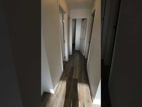 YEE05 - Video 2 of 2