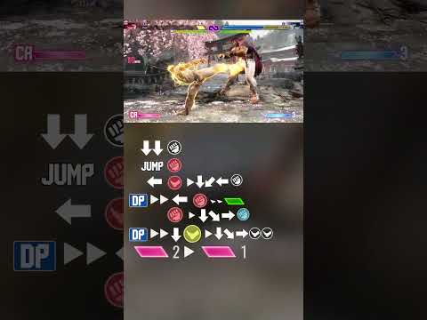 RYU INSANE COMBO WITH INPUTS