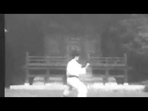Old Gankaku shotokan karate kata jka