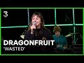 Dragonfruit speelt 'Wasted' live | 3FM Live Box | NPO 3FM