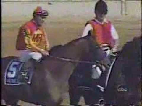 1999 Pimlico Special (Part 2)