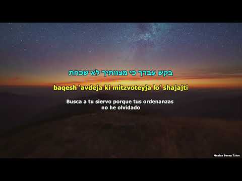 Bakesh Avdeja בקש עבדך – Yosef Karduner