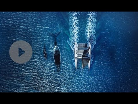 Oceanvolt Crowdfunding