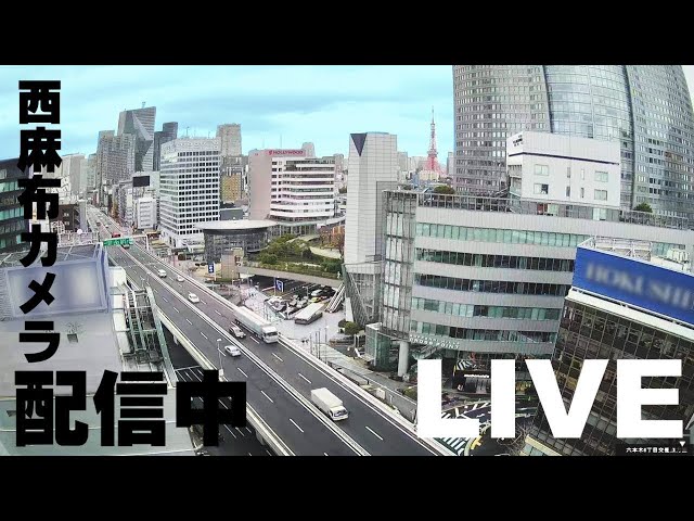 ライブカメラ サムネイル