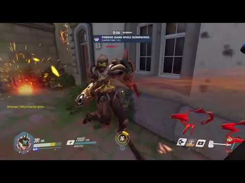 Rein Life