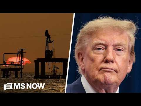 “We have no idea how the actual nuts and bolts of this would work”: Economist on Trump's oil deal