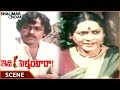 Idi Pellantara Chiranjeevi Asks Questions To Farmer About Husband Raadhika Shalimarcinema