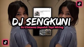 Download lagu DJ CINTAMU SEPAHIT TOPI MIRING VIRAL DJ SENGKUNI M... mp3