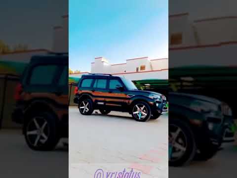 scorpyo status so very nice on 1like