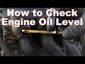 How to Check Your Oil Level & Read Your Dipstick