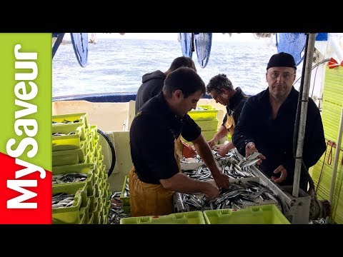 Un jour chez nous : La pêche à la sardine (Gendreau)