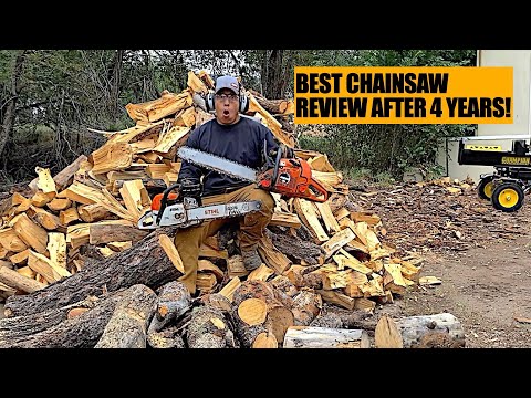 I Put A Sthil Ms271 And An Echo Timberwolf Cs590 To The Test After 4 Years Of Usage