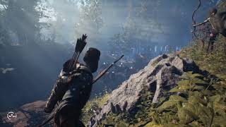 Buy Robin Hood - Sherwood Builders