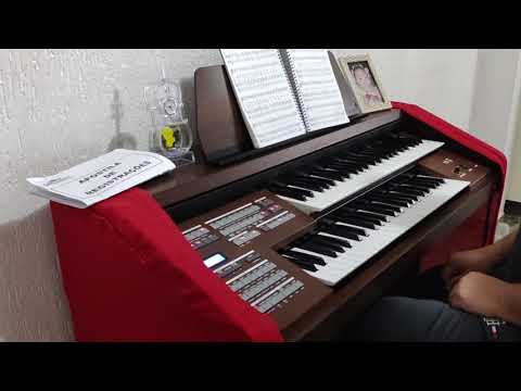 Apresentação do Organist YX 3