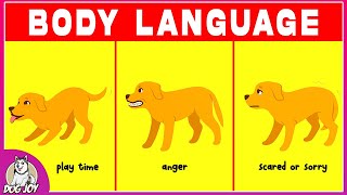 Dog Language Explained! Best Ways to Understand your Dog