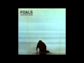 1-Foals- Lonely Hunter
