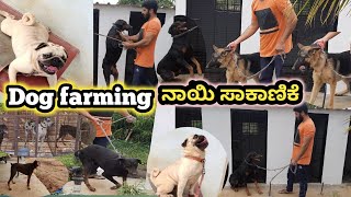 ನಾಯಿ ಸಾಕಾಣಿಕೆ dog farming 