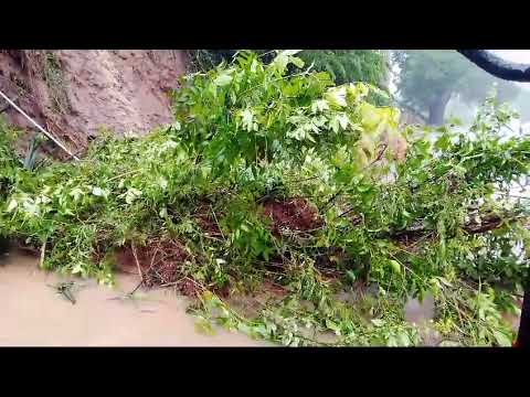 esto esta perro señores😪😪📢📢📢