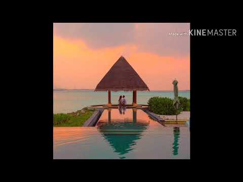 Hayleyesus Feysa - Birtu Fiker