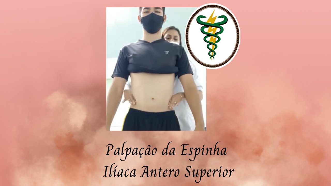 O Que é Eias Anatomia O Que é Eias Anatomia