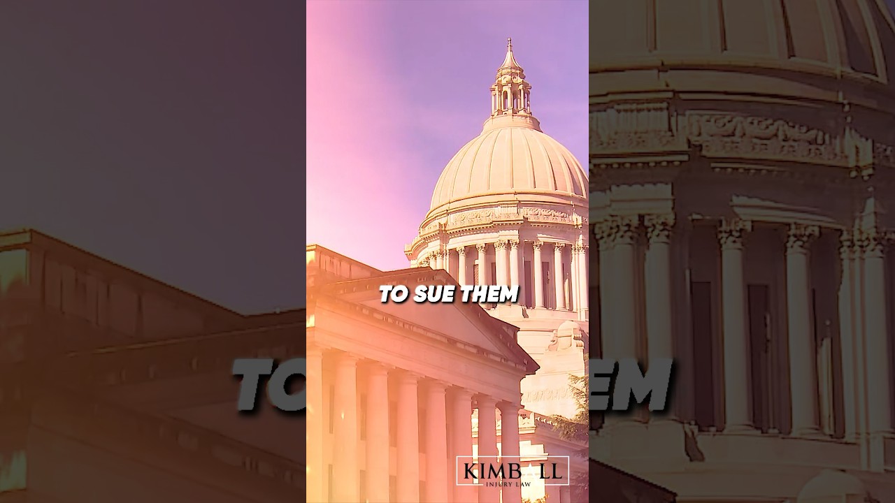 Suing The Government