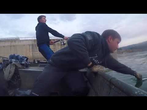 Spinnfischen am Ebro im November RIBA ROJA