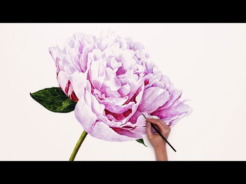 Painting a BIG Peony in watercolor - a time-lapse with Anna Mason