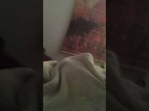 Mommy massage therapy !!!!