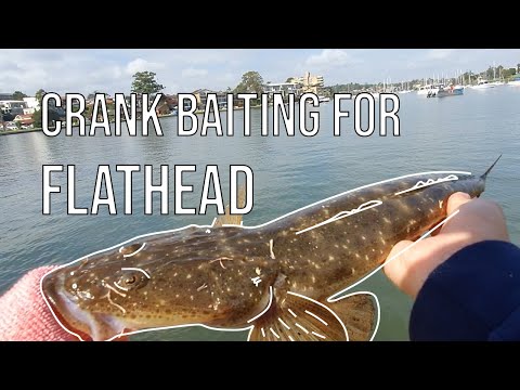 A First on a Crankbait! // Parramatta River Flathead
