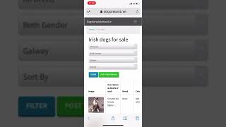 Dogs for sale Ireland
