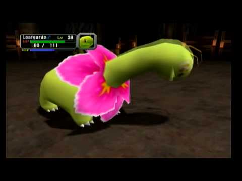 Pokemon Colosseum #13 ~ It's a Mirakle, B.