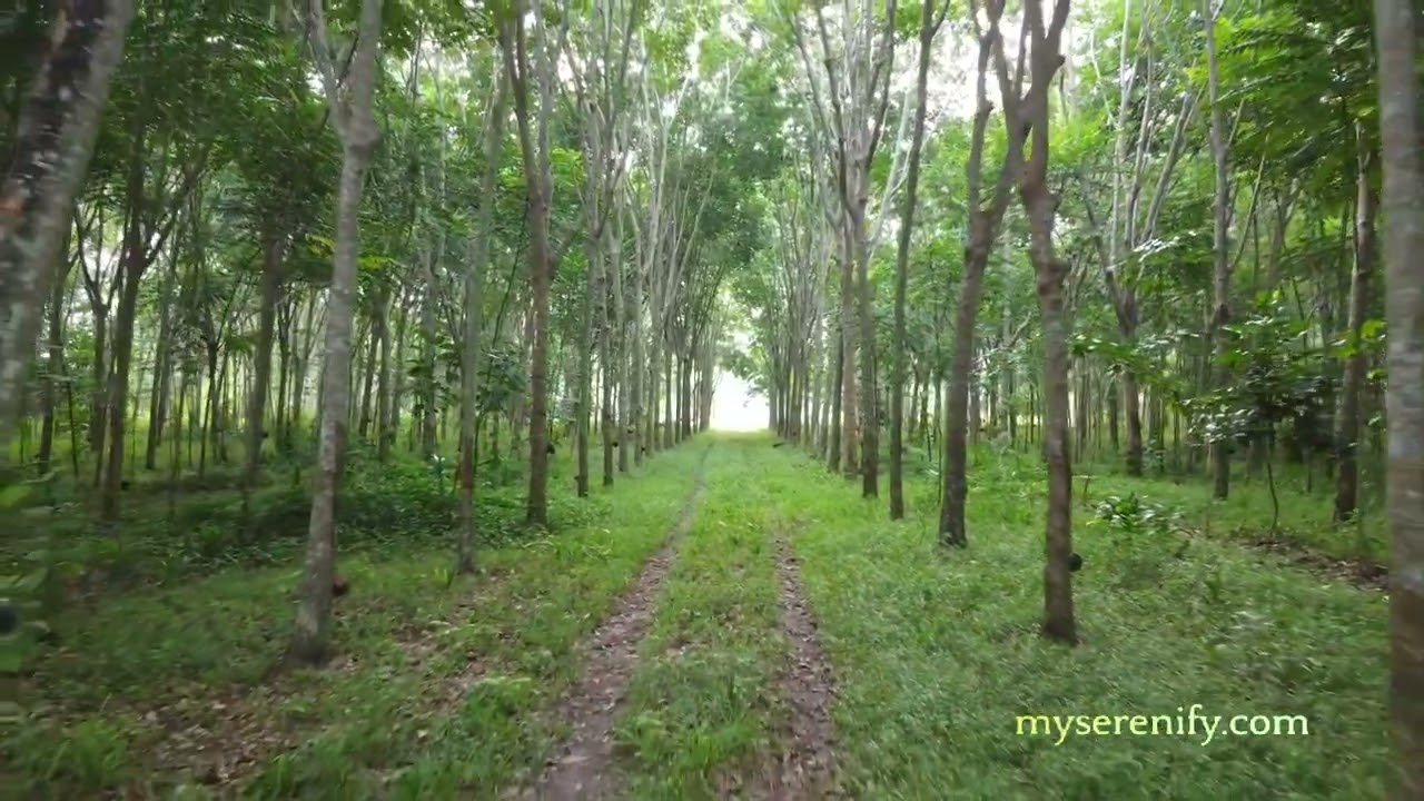 Understanding Sitemap.txt in SEO, sitemap.txt