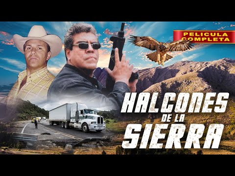 Halcones de la Sierra | Pelicula Completa de Accion en Español