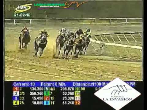 LA RINCONADA 10 CARRERA, DOMINGO 21 DE FEBRERO DEL 2016