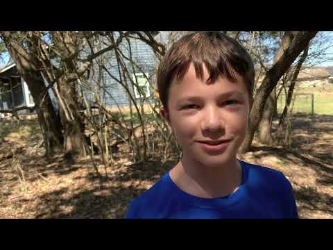 Play Video Youtube Video