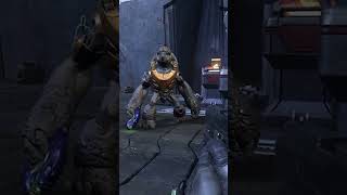 Rarest Grunt Animation in Halo Infinite