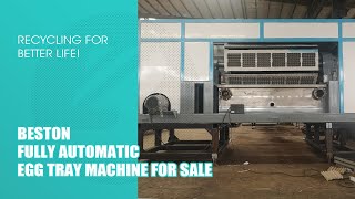 Automatic Egg Tray Machine for Sale Video - Beston Machinery