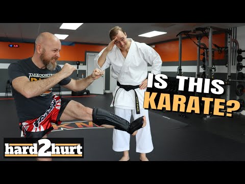 Do NOT turn your hip when kicking? | The Karate Nerd and Icy Mike