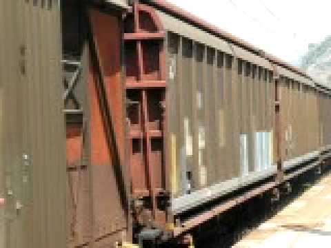 FS E655 xmpr-Treno Merci